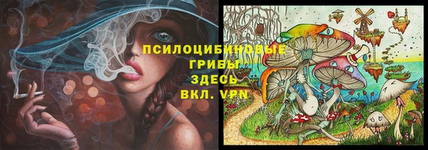 тгк Нефтекумск
