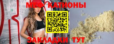 шишки Камышлов