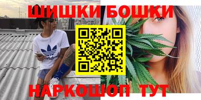 шишки Камышлов