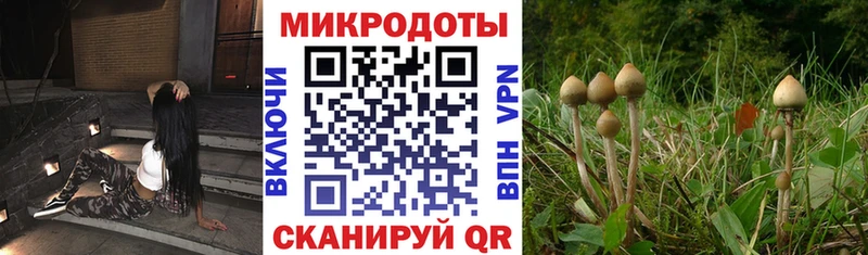 KRAKEN онион  Лабытнанги  Галлюциногенные грибы Cubensis 