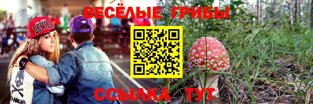 Галлюциногенные грибы Psilocybe  Вход с VPN  Галлюциногенные грибы Cubensis  Лабытнанги 